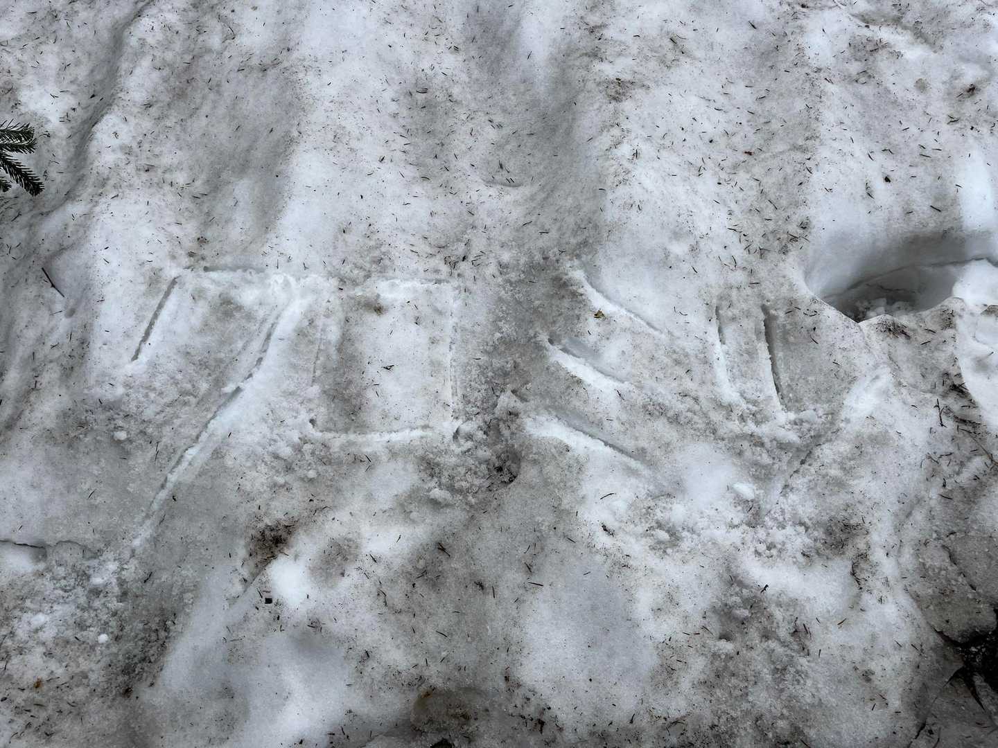 お約束の…
信仰のお山ですので、ひっそりやっときました🤣👌