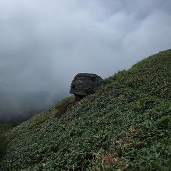 岩