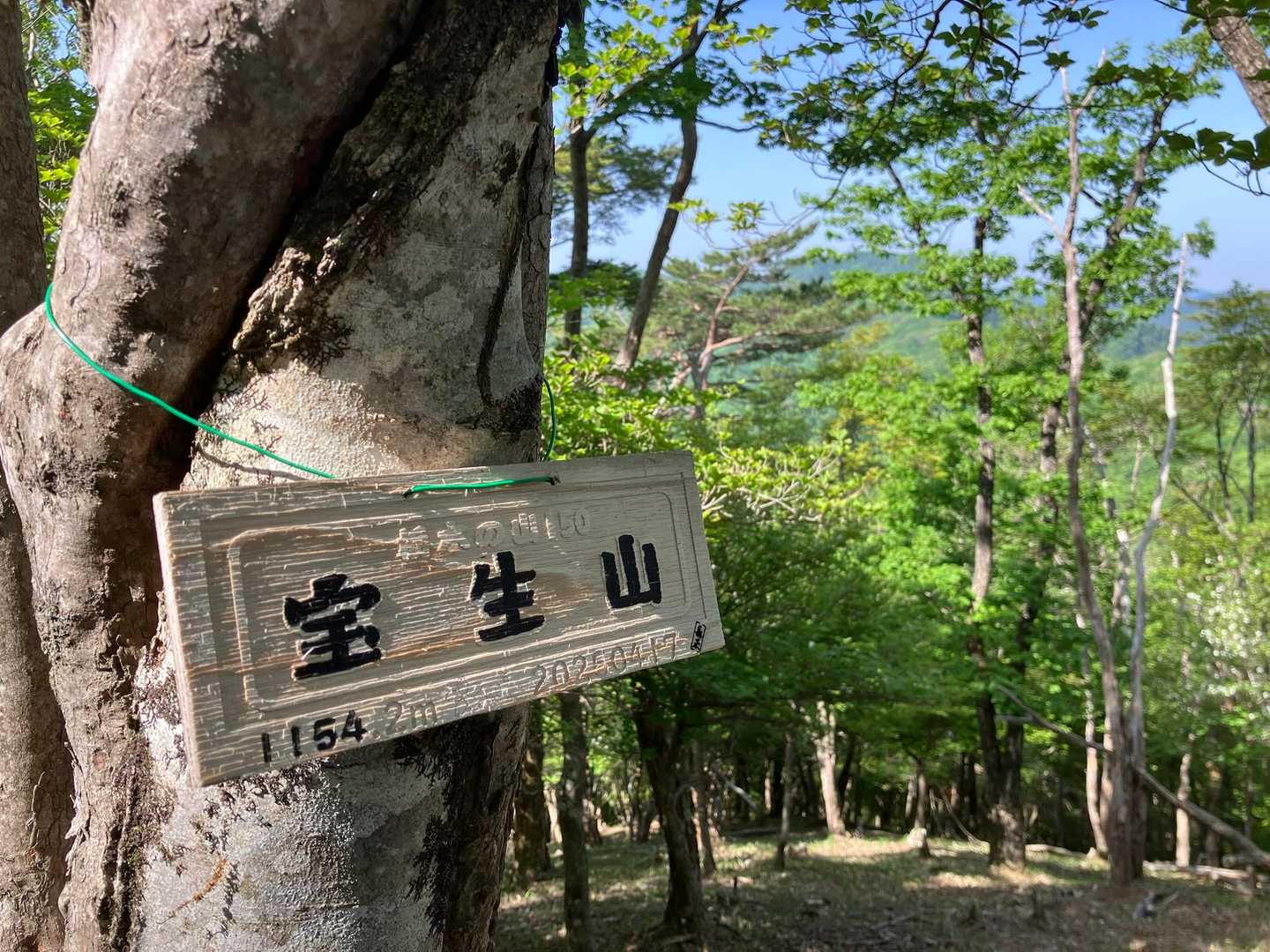 すぐ山頂⛰️
