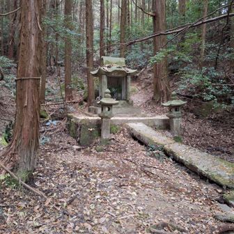静かな山中にある石祠。