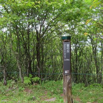 ⚡️のおか？落ちるのかな？