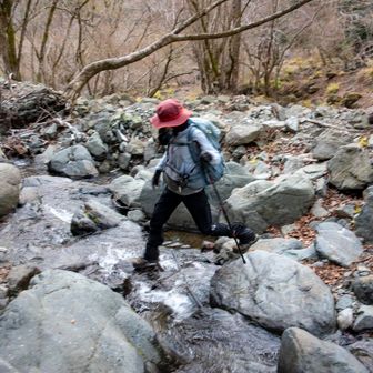 と、安心したあとに渡渉が待ってますw

ピンテいっぱい下がってる箇所で渡りやすい箇所を探して渡ります。
今日の水量なら特に難しくなかったです♪