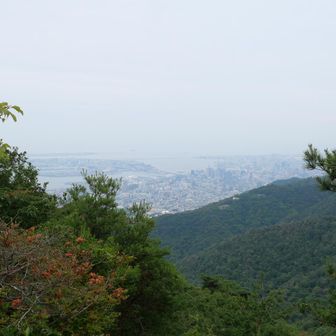 今日は天狗塚も賑わっているので、コーヒー飲んだだけで下山