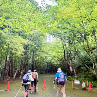 大矢田神社登山口からスタート