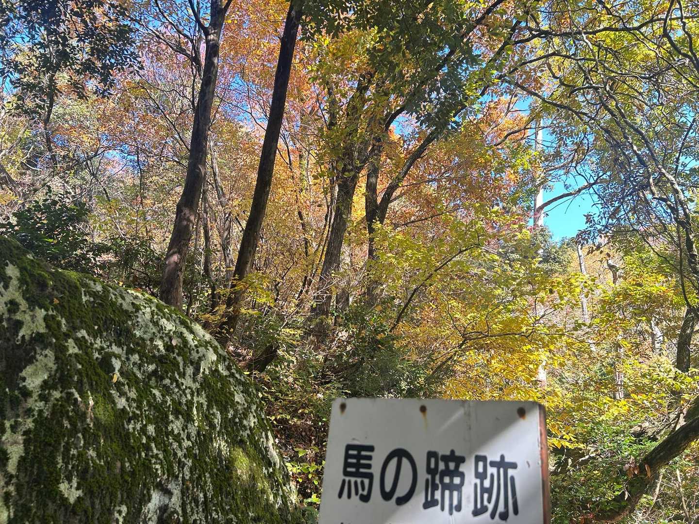 急登の半分くらいかな