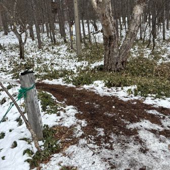 無事下山大感謝〜