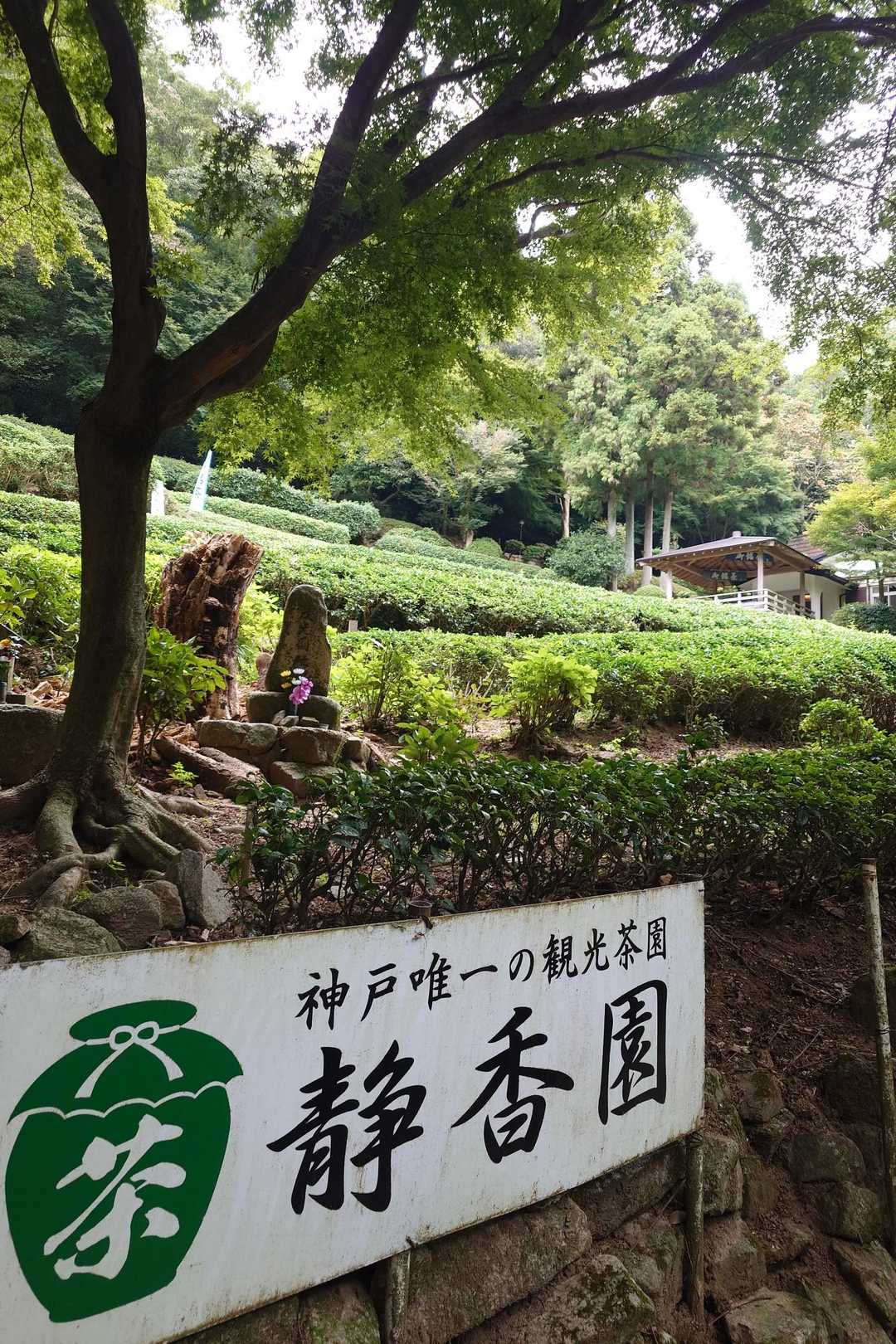 静香園