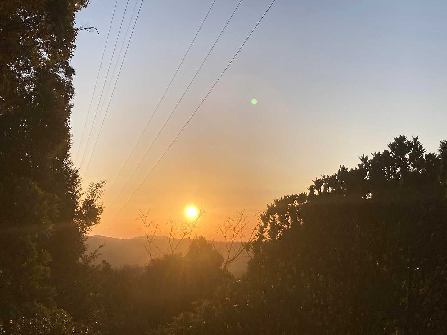 すっかり太陽も見え☀️