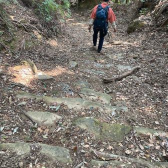 古い石段が残ってます