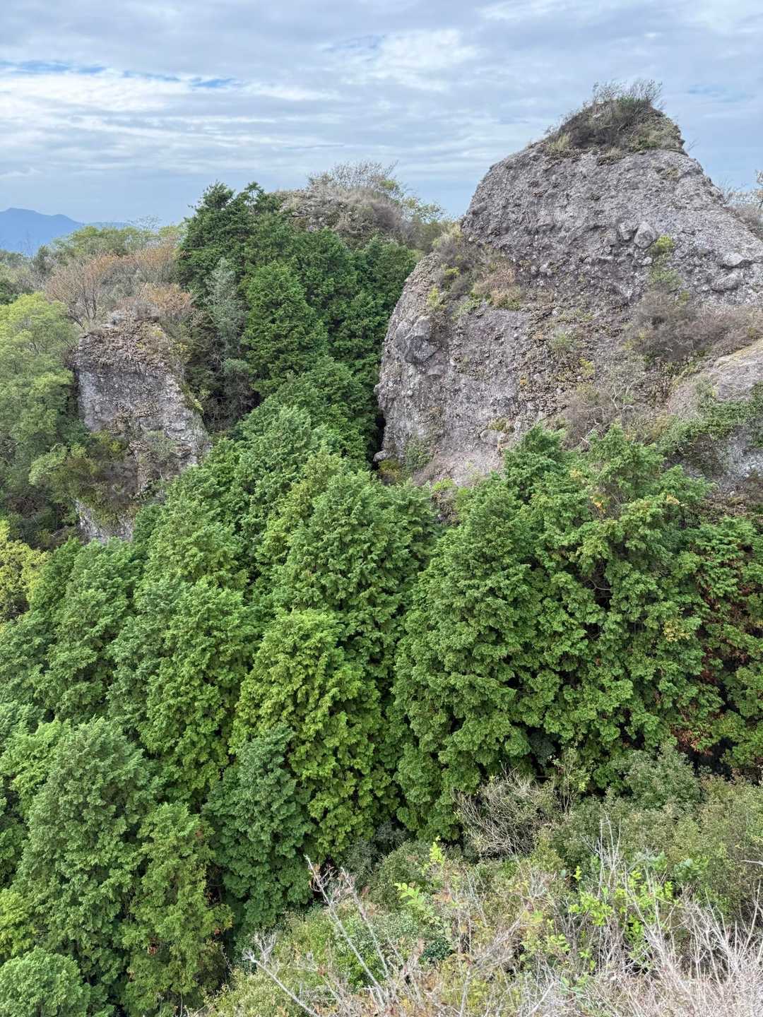 田原山 往復コースの写真