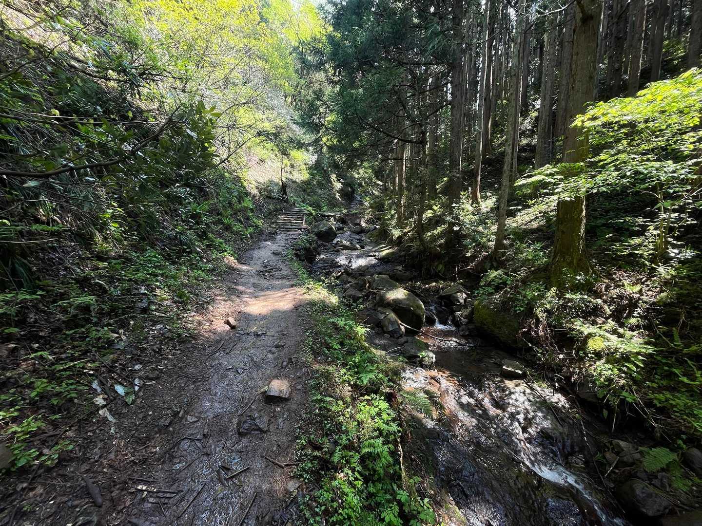 尖山往復 | 「富山のピラミッド」UFO伝説と布倉姫が宿る、立山連峰を仰ぐ里山の写真