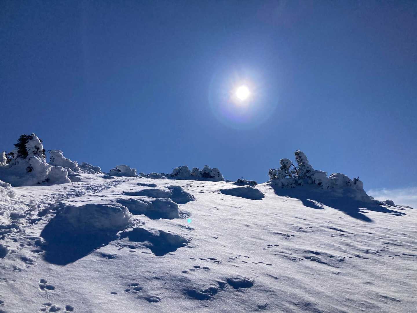 南沢山-横川山-湯舟沢山-富士見台 往復コースの写真