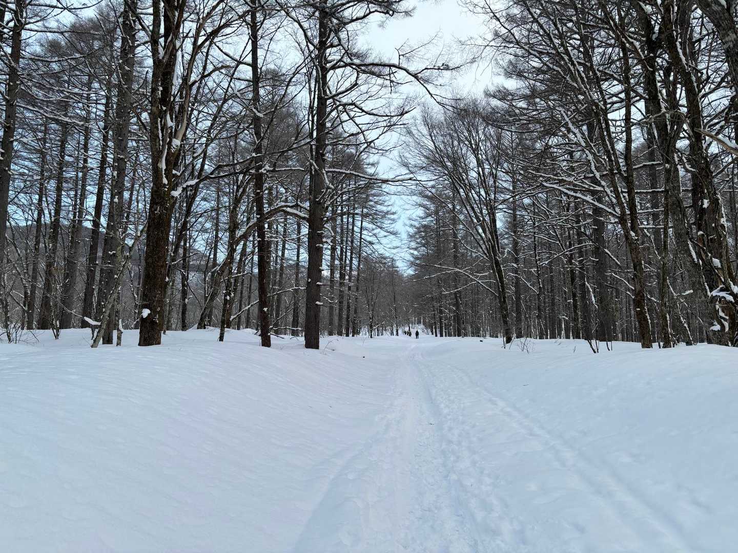 駐車場は工事してて5時には満杯😳
雪道わくわく☺️