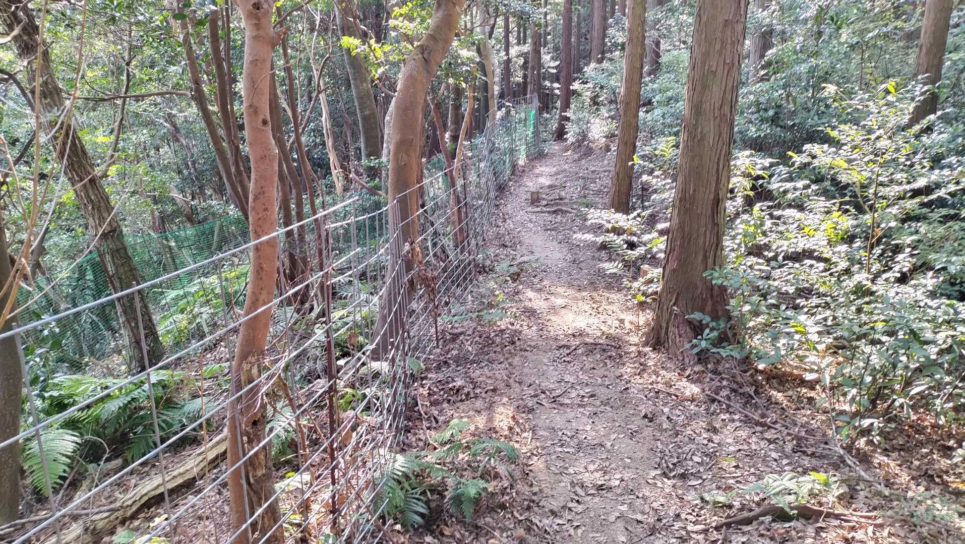 ゴルフ場のイノシシ🐗対策の柵の横を通過します。