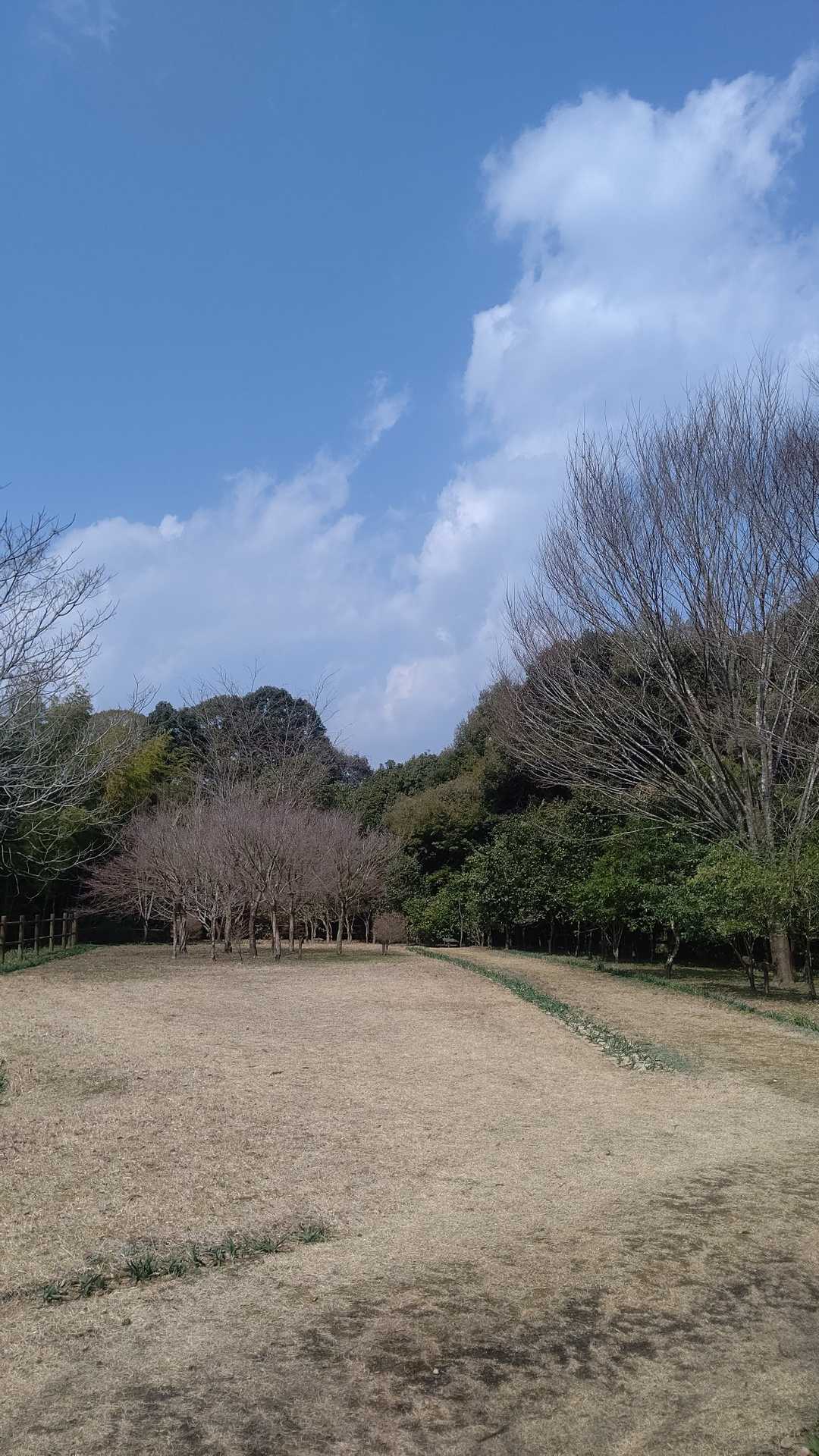 ここの広場がピークかな