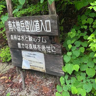 いよいよ登山道！
