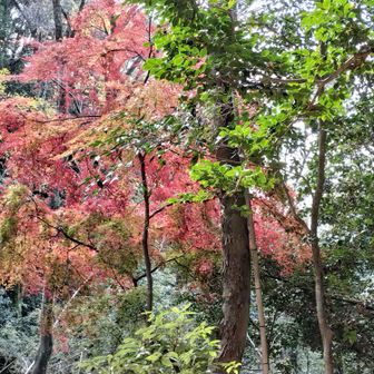 終盤だけれど…