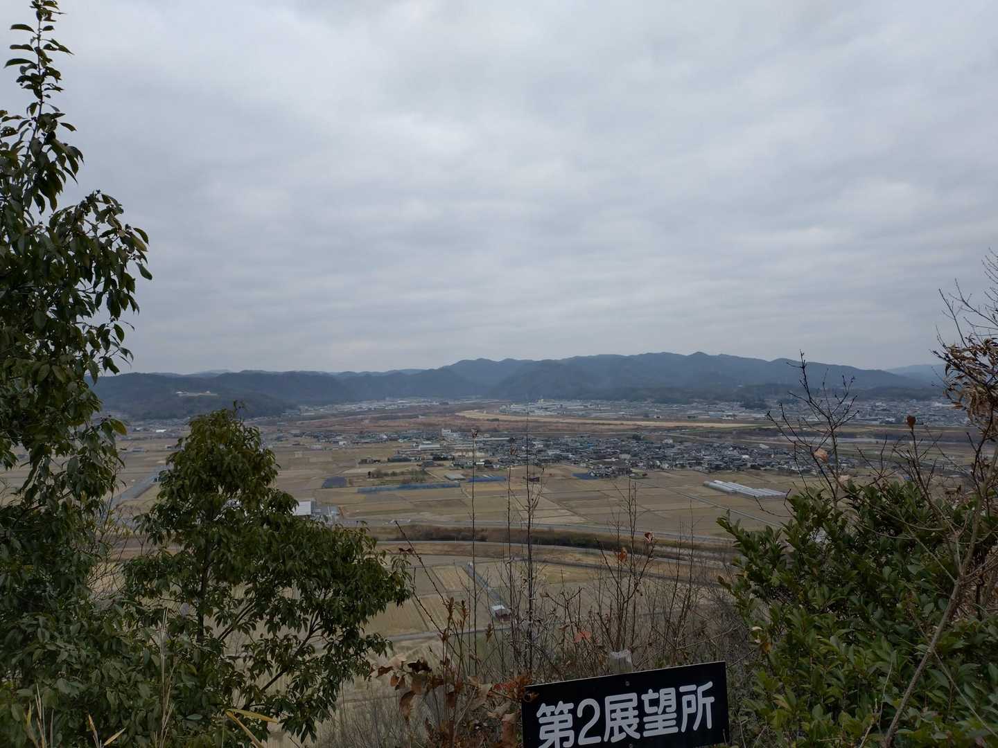 展望所👀