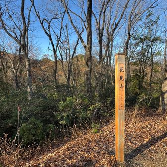 下てガサガサと音聞こえてて、すぐ撤収💦