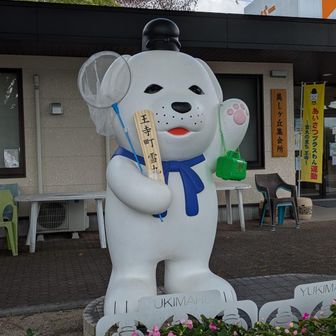 雪丸ただいま〜🤚
リハビリ登山無事下山🙏

この時期の雪丸は夏休み昆虫採集バージョンなんやね🤗