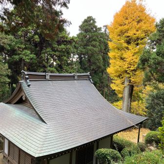 右手に下の社の屋根と立派な銀杏を見ながら階段を降りていきます
