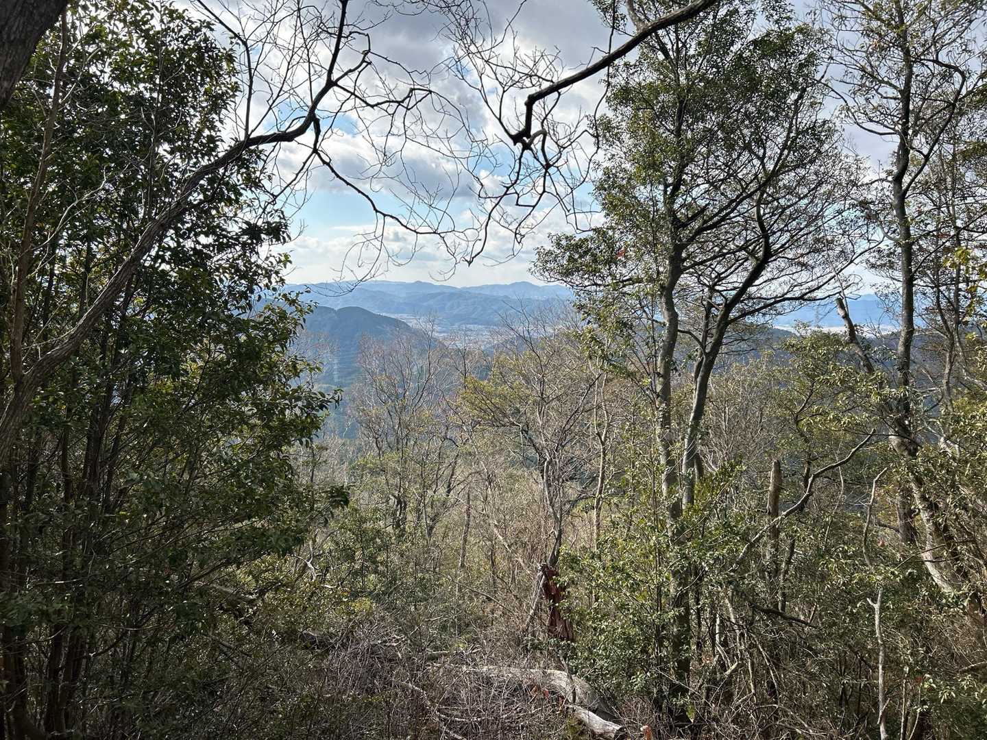 荒神峠-愛宕山 往復コースの写真