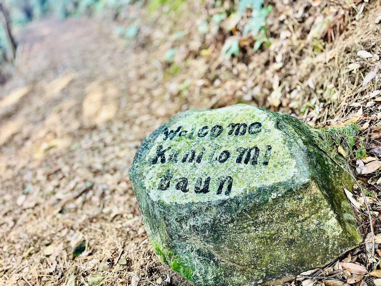 Welcome Kunitomi taun🤭
間違いを薄い字で修正されてる可愛い
Welcome stone🪨