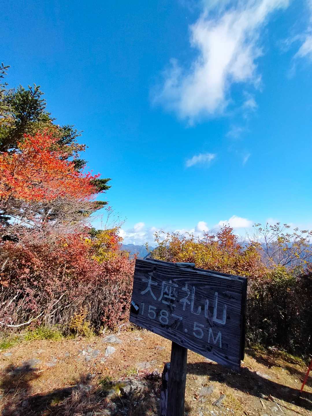大座礼山登山口-井野川越-大座礼山-大田尾越 周回コースの写真