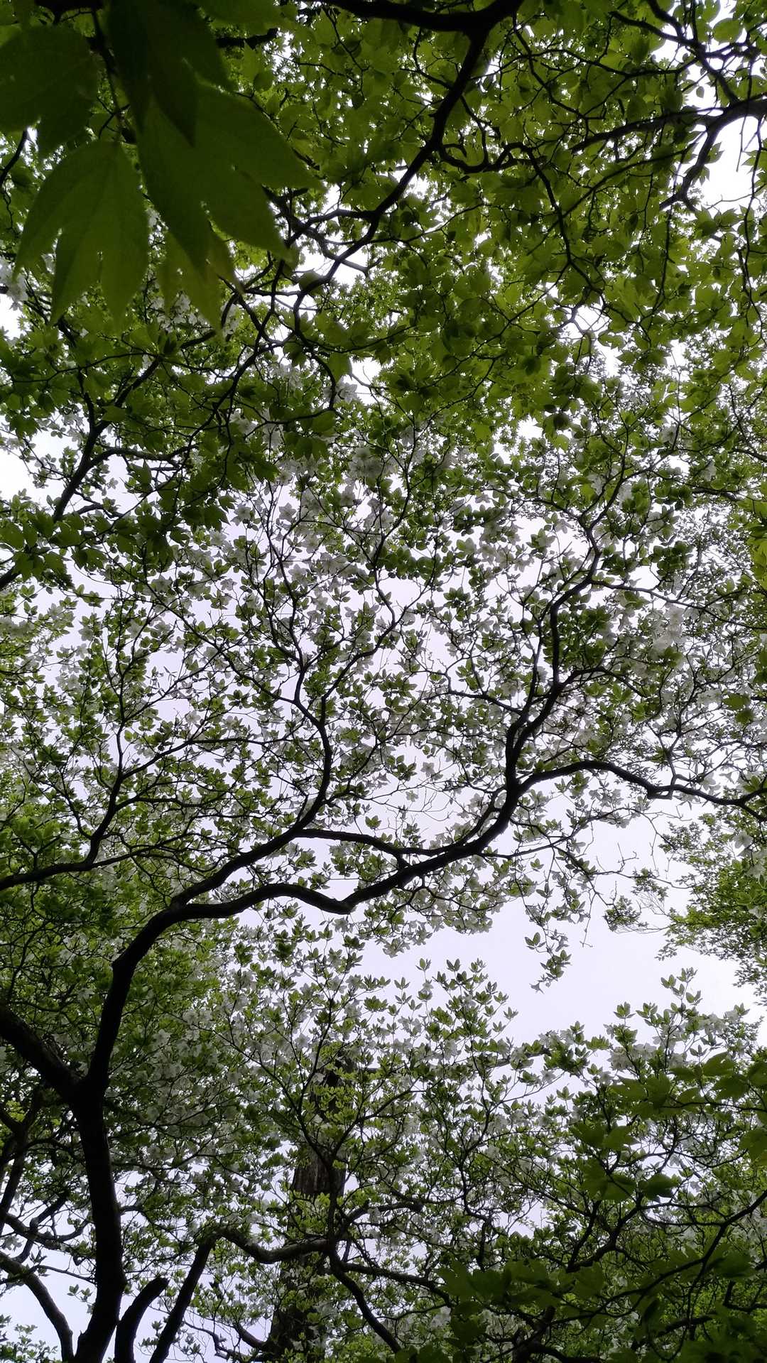 来て良かった。
