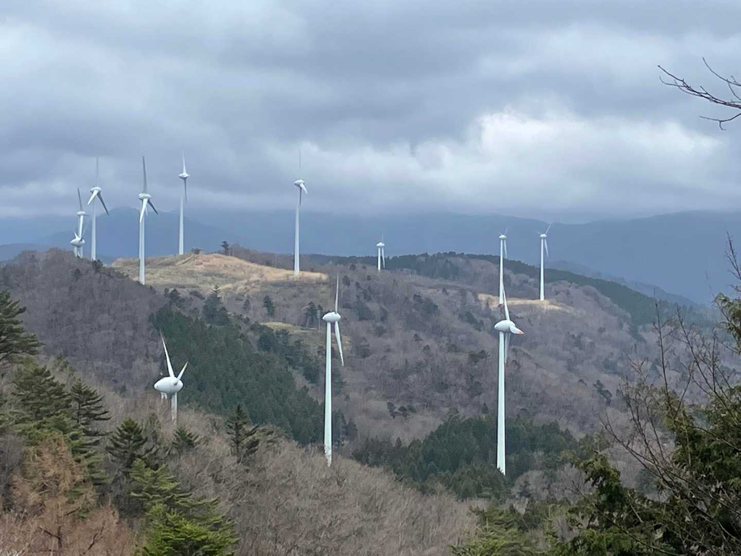 大船山 往復コースの写真