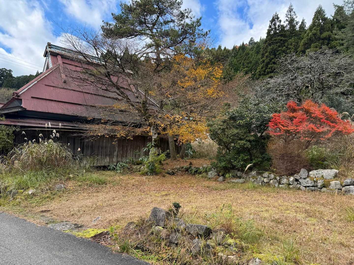 天狗堂-P924-サンヤリ-岩尾谷登山口-君ヶ畑バス停 周回コースの写真