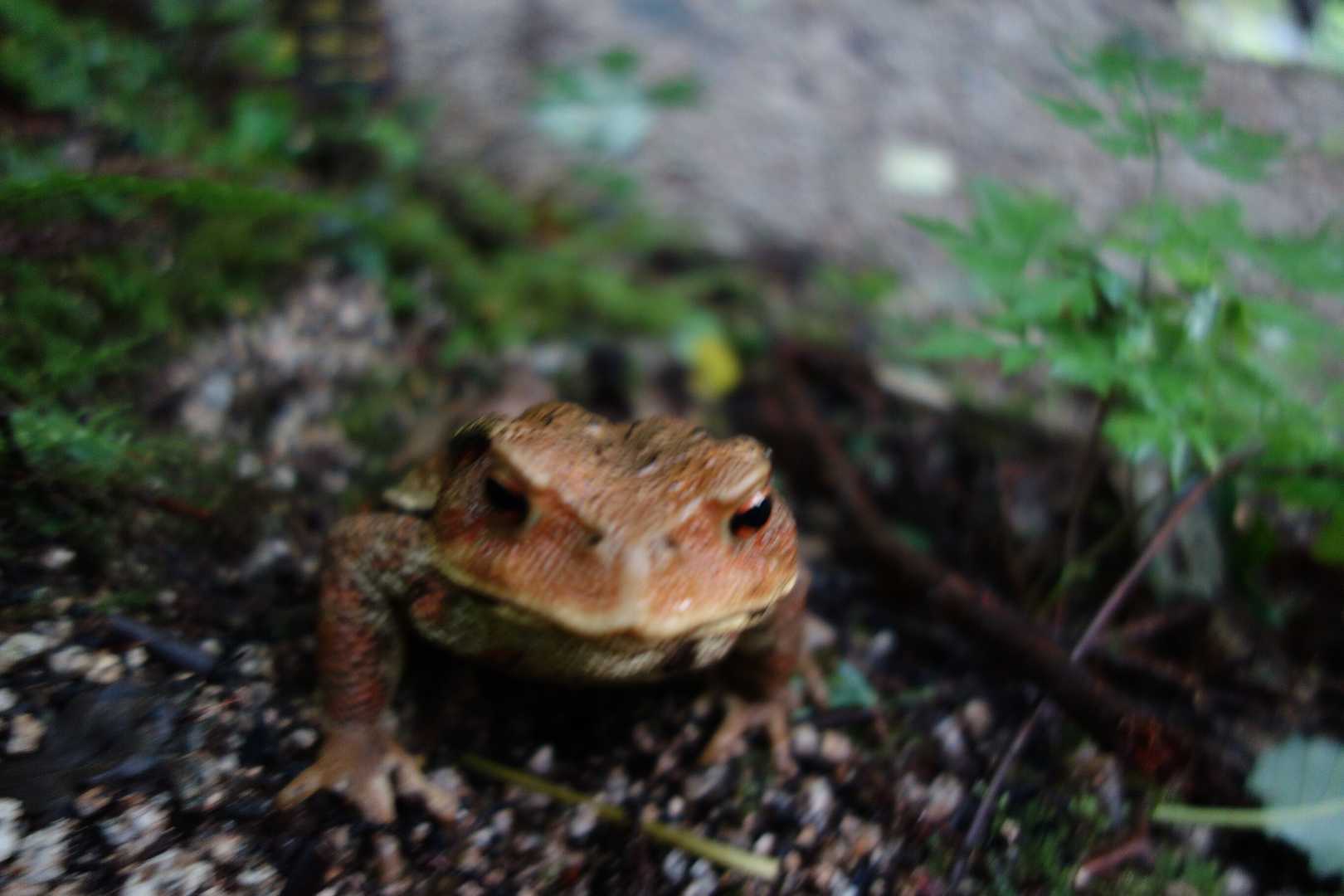 久々にでかいの見ました。