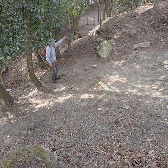 左に折れて桝形に入るともう土塁から矢が飛んできます。