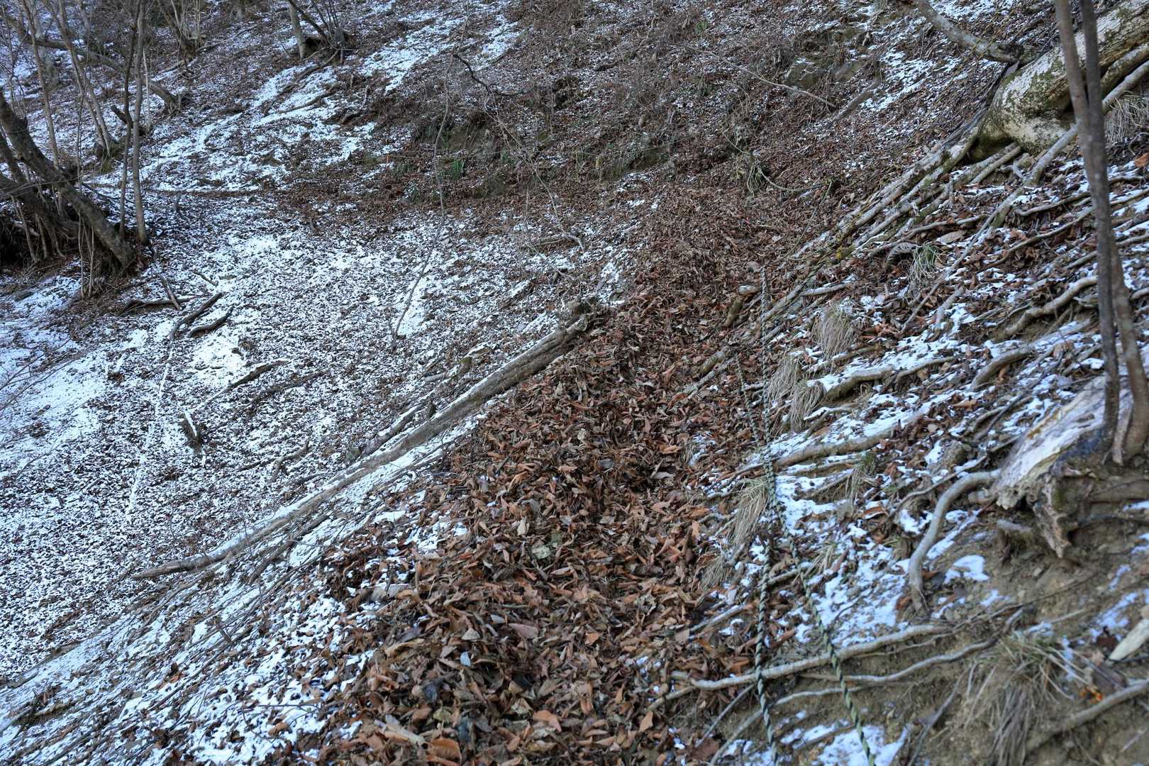 雪よりも、足元が全く見えない落ち葉地獄のほうが怖いです。