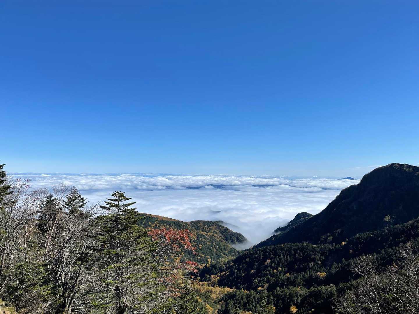 夏沢峠付近からは雲海が見下ろせました