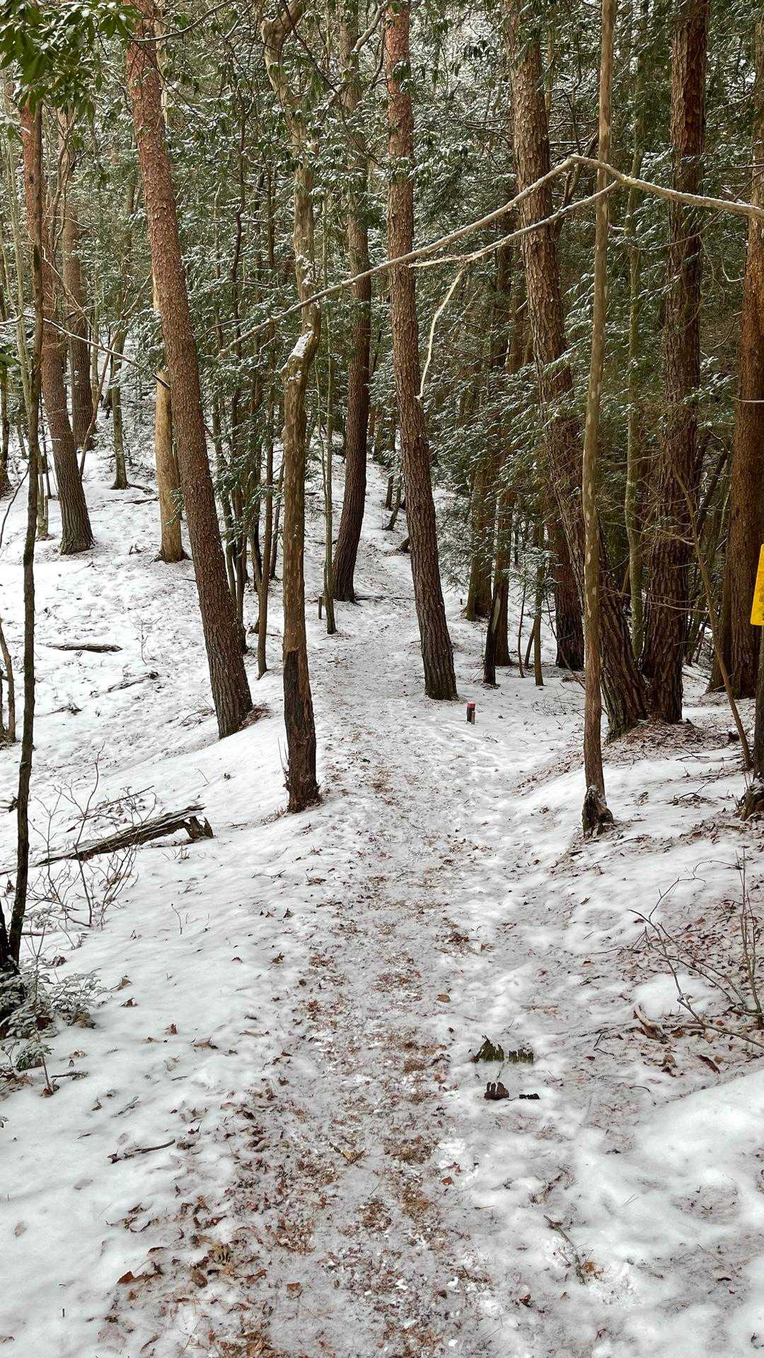 足音がザクザクいって気持ちいい