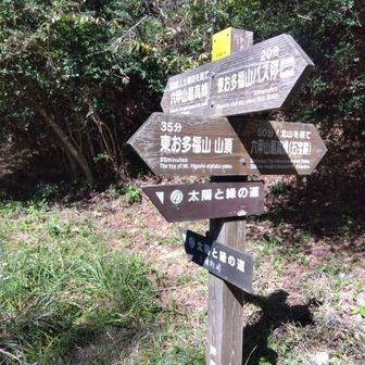 土樋割峠分岐。後少しで最高峰登頂出来ますが、今日はここまでで下山します