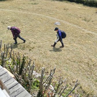 ⁉️最後尾の人❗