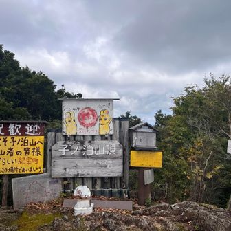 紀宝町最高峰　906.7m