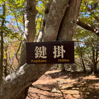 家の鍵どうだったか頭をよぎる😅
