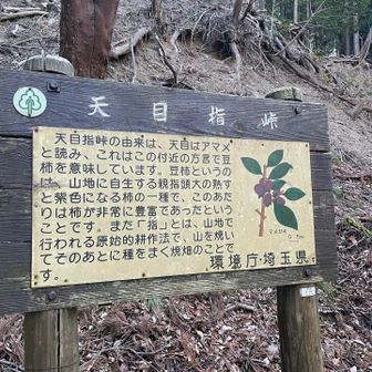 「だったら初めから“豆柿峠”でいいでは？」と看板に突っ込むパイセン😹