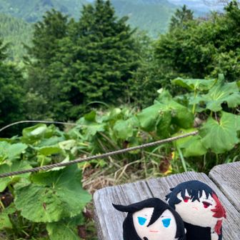 おともだちにピント