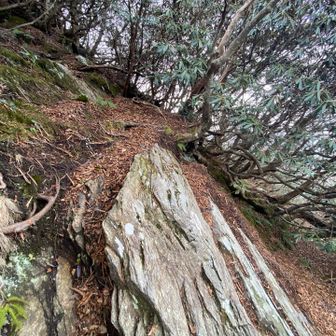 岩を掴んで登る箇所多め