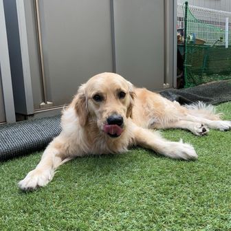 ユーザーやまとくん