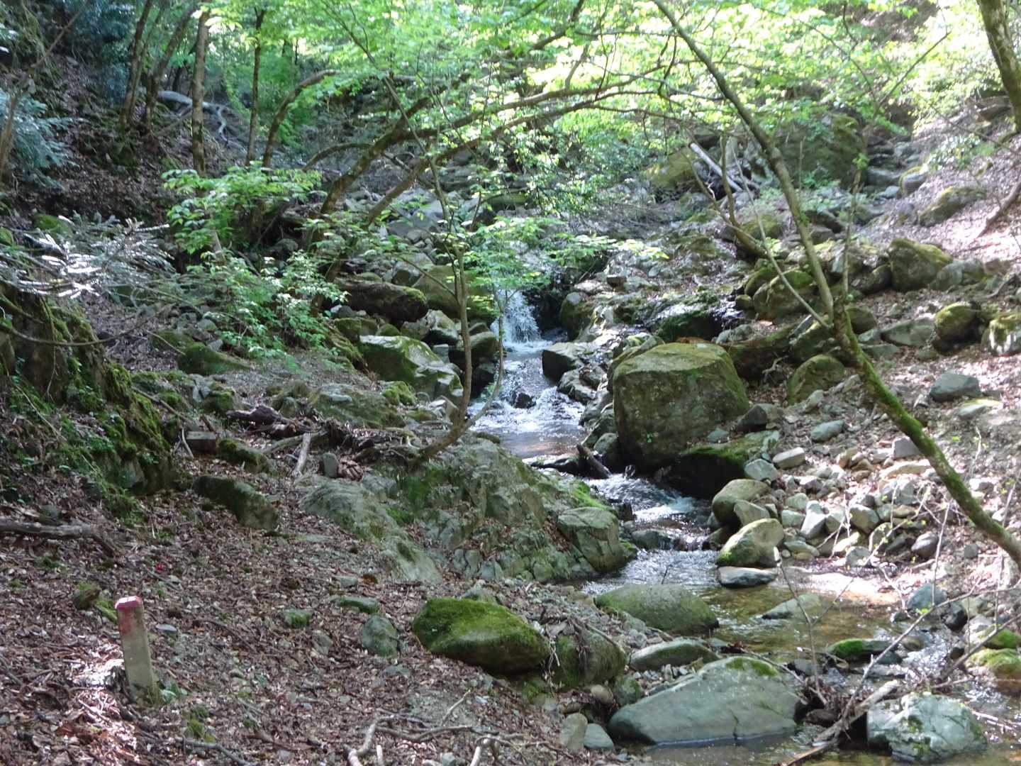 飛び石を使って沢を渡りました。