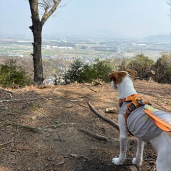 黄砂が酷くて、景色全然良くない