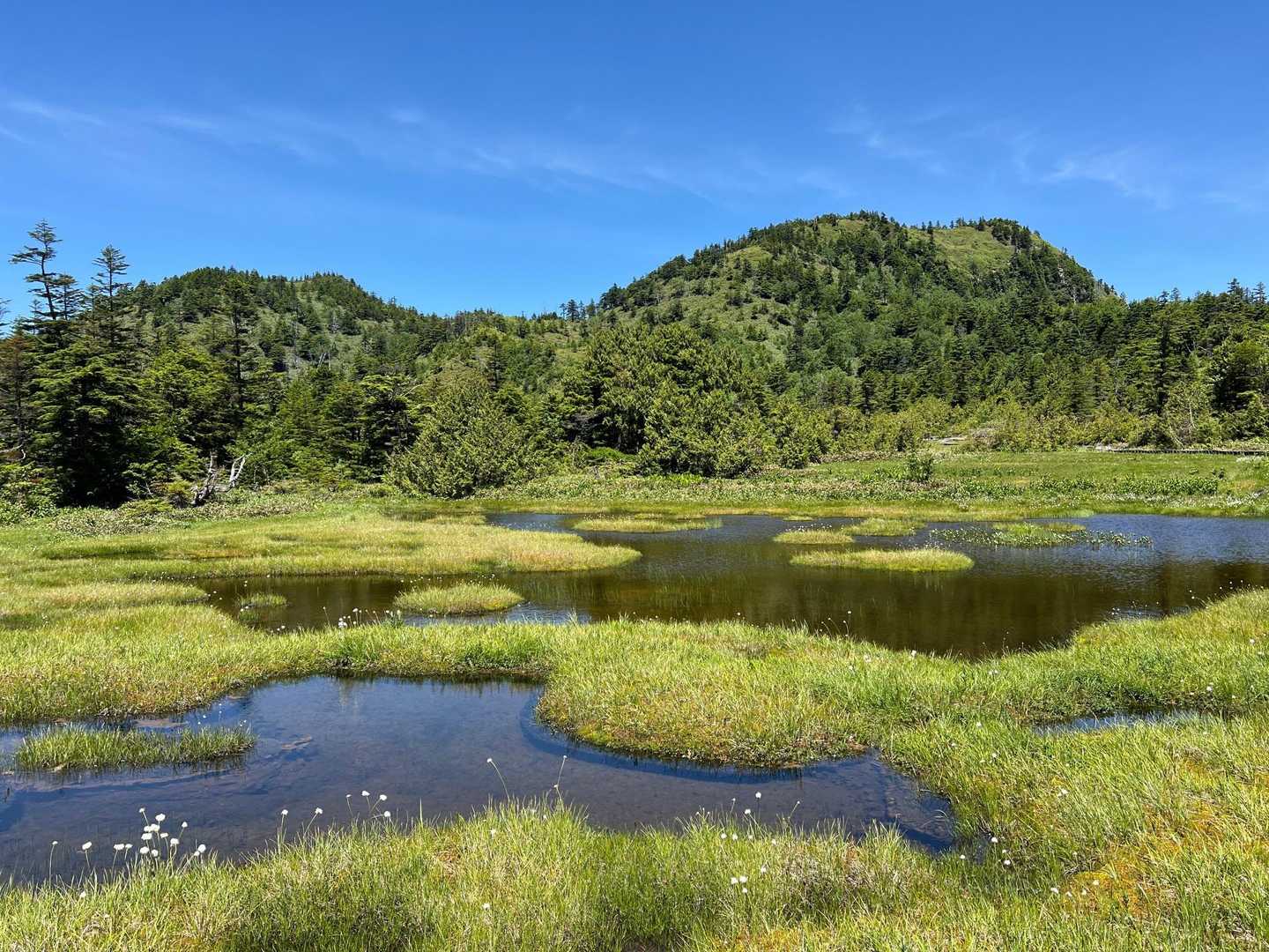 登らない志賀山、裏志賀山
でも湿原から見る景色は素敵