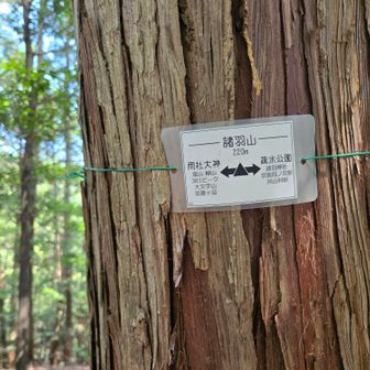 諸羽山220m
わかりやすいきれいな標識が付けられています
山頂プレートどこ～　