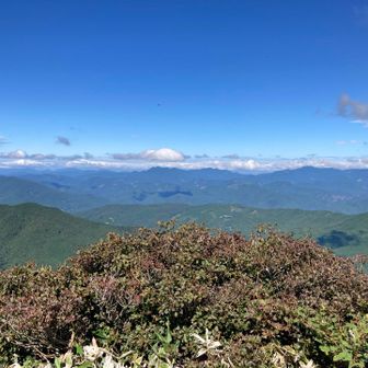 たぶん松山市方面。