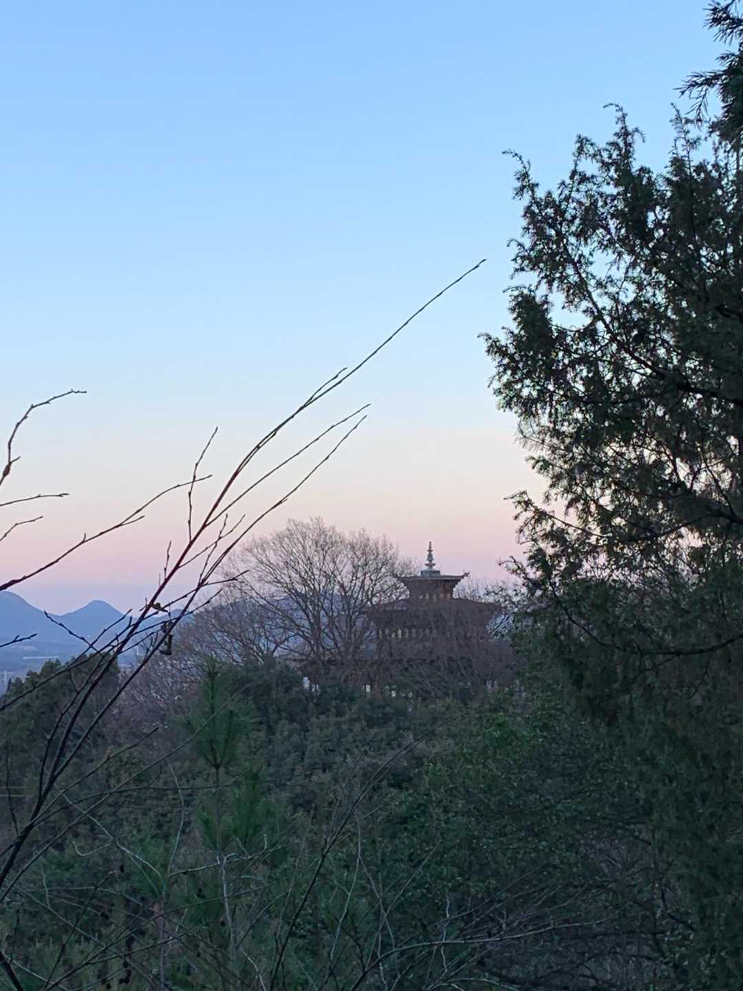 城山-こねこ山 周回コースの写真